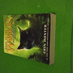 Warriors: The Forgotten Warrior